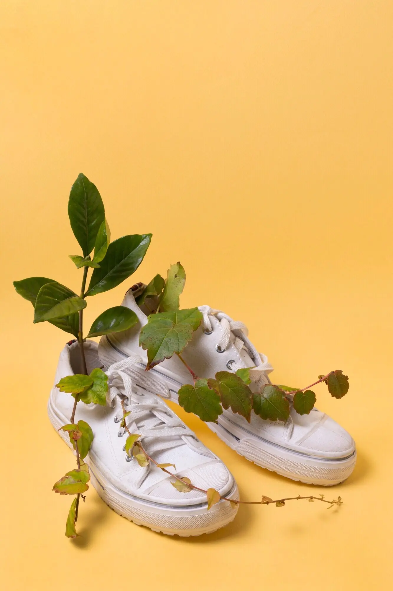 Zusammenstellung zum Nachhaltigkeitskonzept als Stillleben