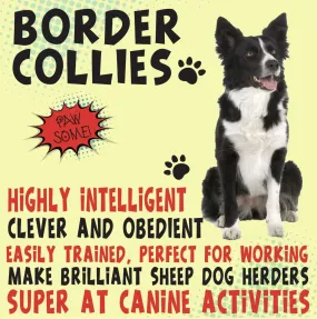 Border Collie Metal Wall Sign