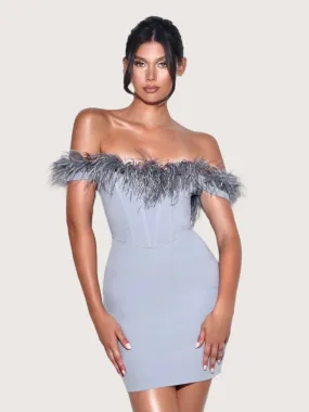 Feather Trim Corset Dress