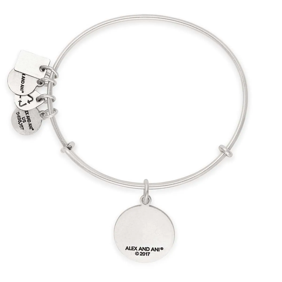 Team USA Snowboarding Charm Bangle